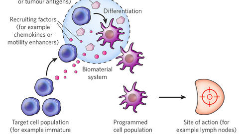 Biomaterial-based cancer vaccine