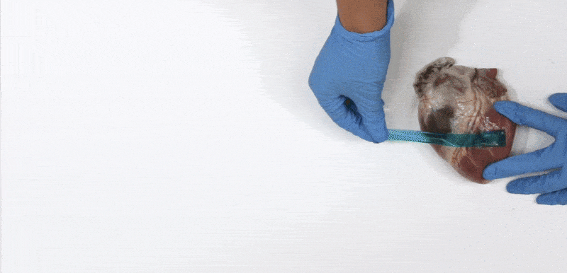 toughgel_gif