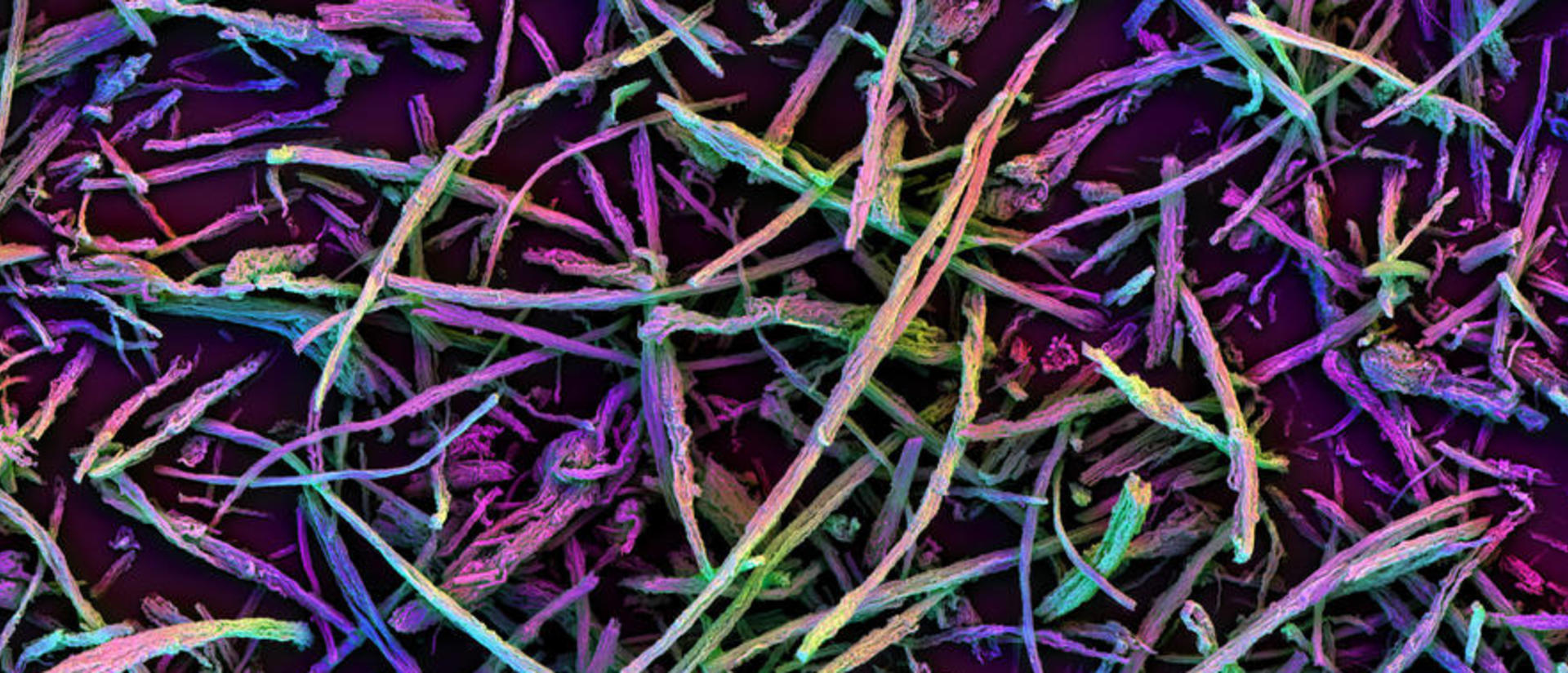 Mesoporous silica rods